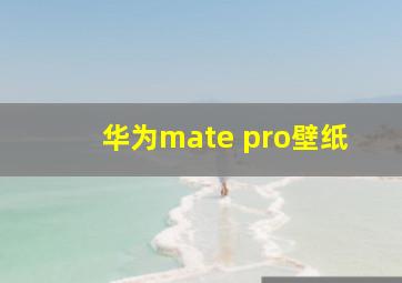 华为mate pro壁纸